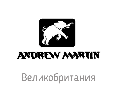 Andrew Martin