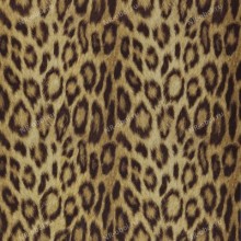 Обои Covers Jungle Club, Panthera 08-Gold