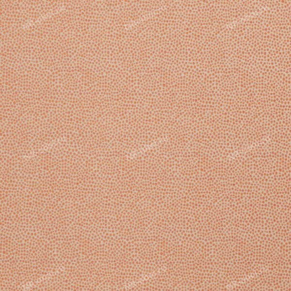 Ткань Fabricut Chromatics Vol. 24 Guava, Sandbag/Coral