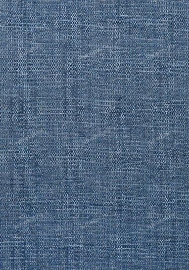 Ткань Thibaut Woven Resource 11-Rialto, W80700