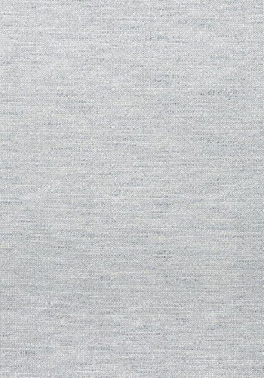 Ткань Thibaut Woven Resource 11-Rialto, W80696