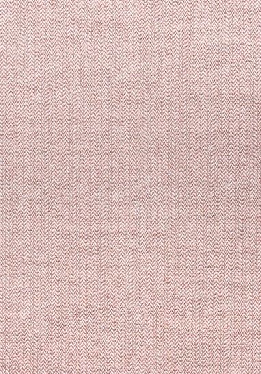 Ткань Thibaut Woven Resource 11-Rialto, W80705