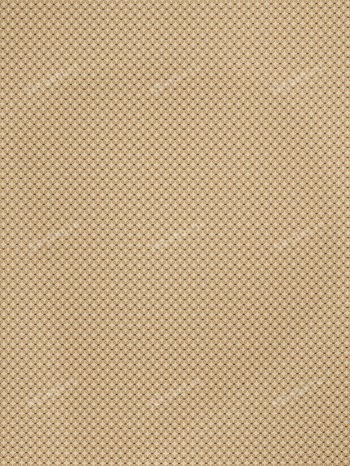 Ткань Fabricut Chromatics Vol. 22 Golden, Tradition/Ochre